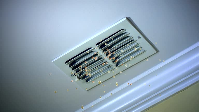 Best Professional Duct Cleaning Services  in Caldwell, TX
