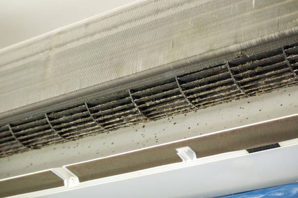 Ductwork Cleaning Services in Caldwell, TX